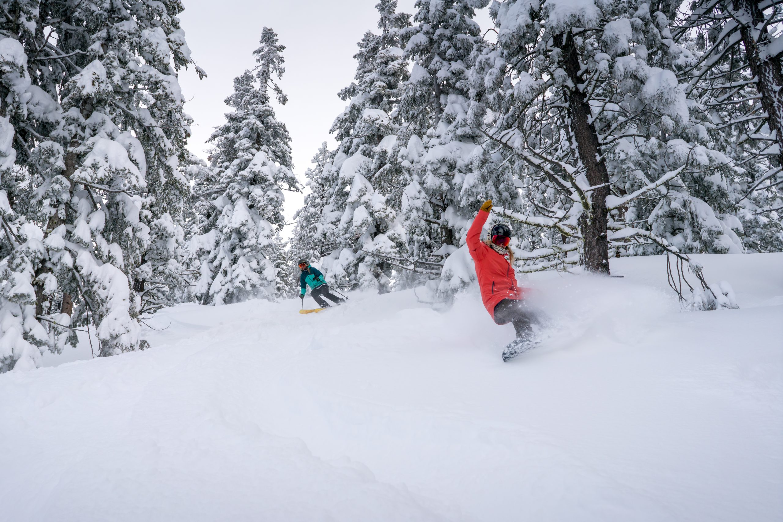 Season Pass Reciprocal Partners Diamond Peak Ski Resort