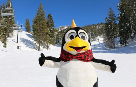 penguin pete mascot with birthday hat