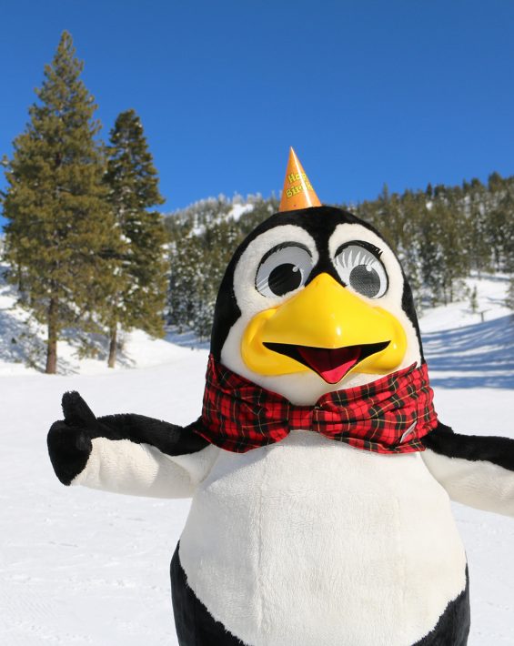 penguin pete mascot with birthday hat