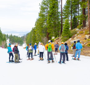 snowshoe hikers listen to naturalist