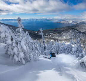 skier with lake tahoe views on a powder day with trees