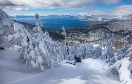 skier with lake tahoe views on a powder day with trees