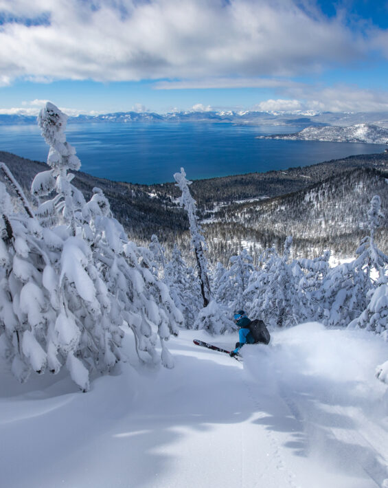 skier with lake tahoe views on a powder day with trees