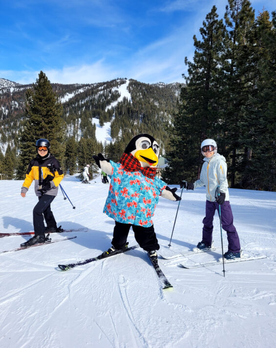 diamond peak's mascot penguin pete in a tropical shirt on the slopes with a couple of skiers smiling