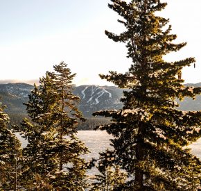 Diamond peak through trees from crystal bay