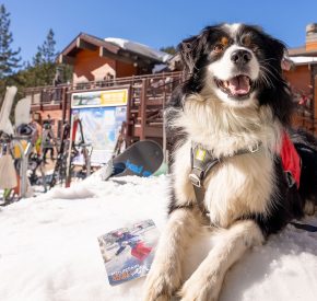 patrol dog fred on snow