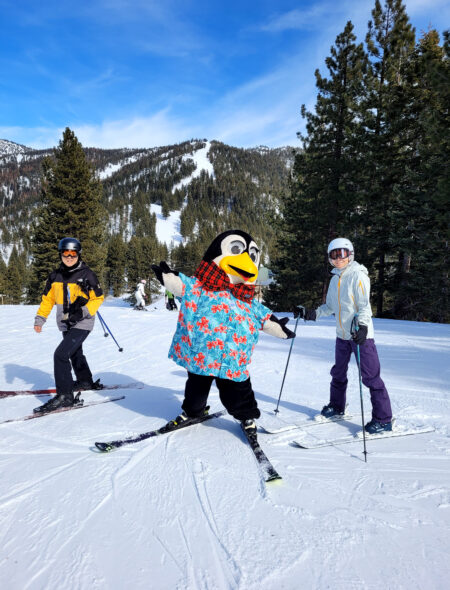 diamond peak's mascot penguin pete in a tropical shirt on the slopes with a couple of skiers smiling