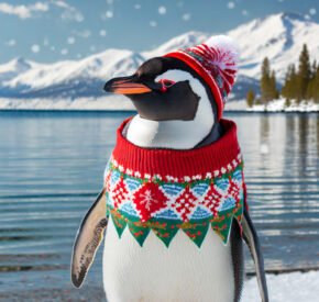 penguin wearing sweater at the lake