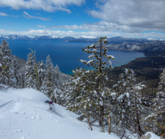 skier skis fresh powder